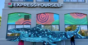 We are Express Yourself